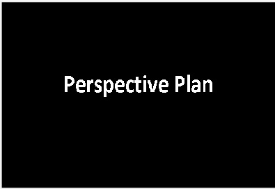 Perspective Plan